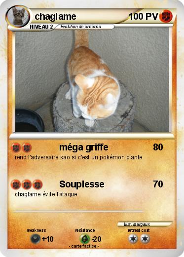 Pokemon chaglame