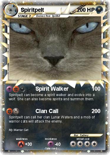 Pokemon Spiritpelt