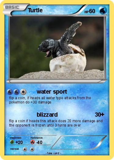 Pokemon Turtle