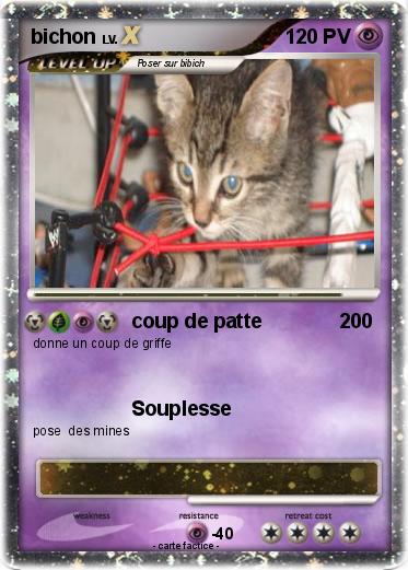 Pokemon bichon