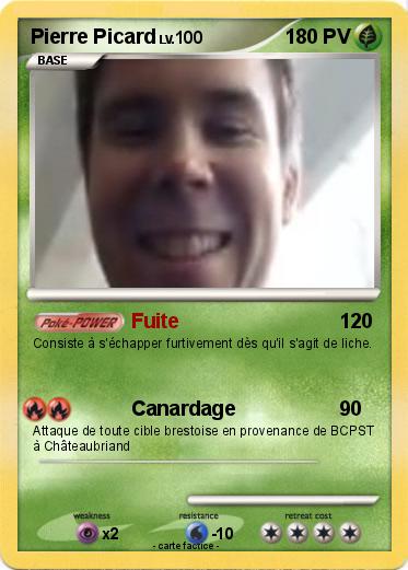Pokemon Pierre Picard