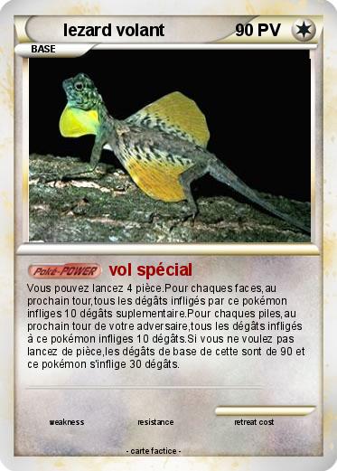 Pokemon lezard volant