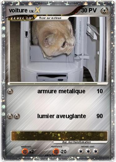 Pokemon voiture