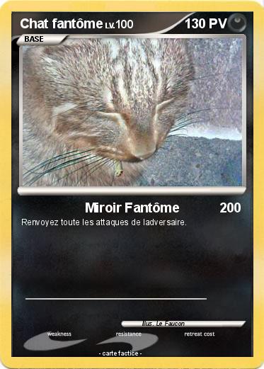 Pokemon Chat fantôme