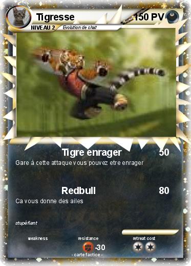 Pokemon Tigresse