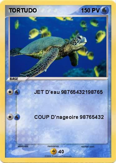Pokemon TORTUDO