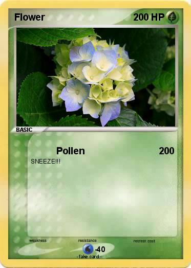 Pokemon Flower