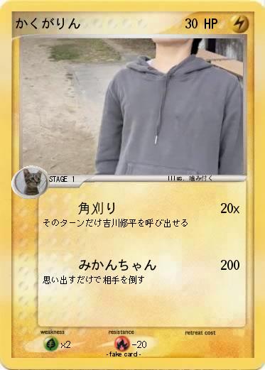 Pokemon かくがりん