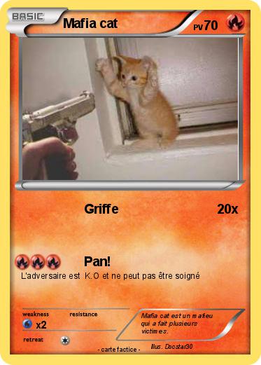 Pokemon Mafia cat
