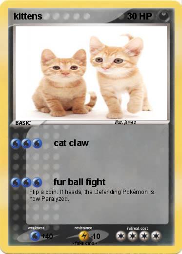Pokemon kittens