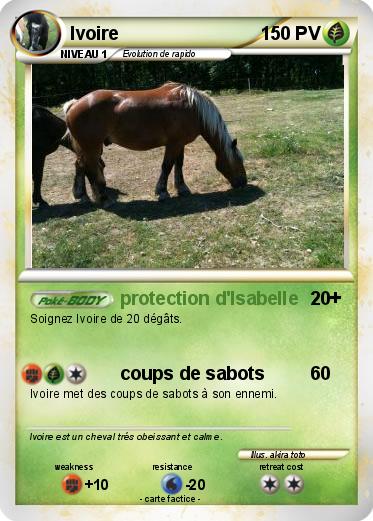 Pokemon Ivoire