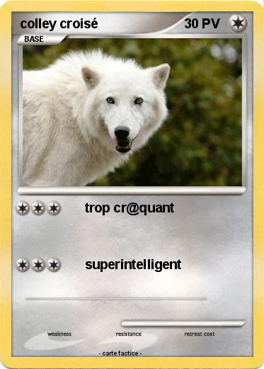 Pokemon colley croisé