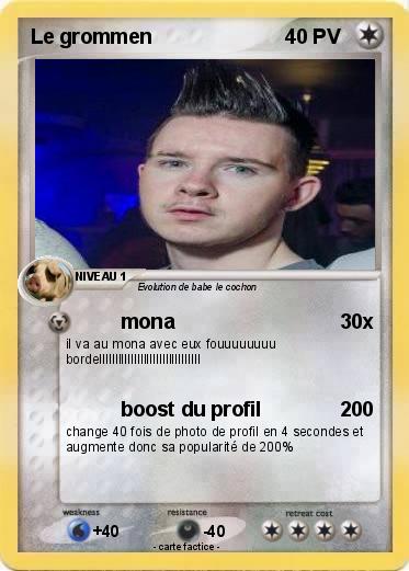 Pokemon Le grommen