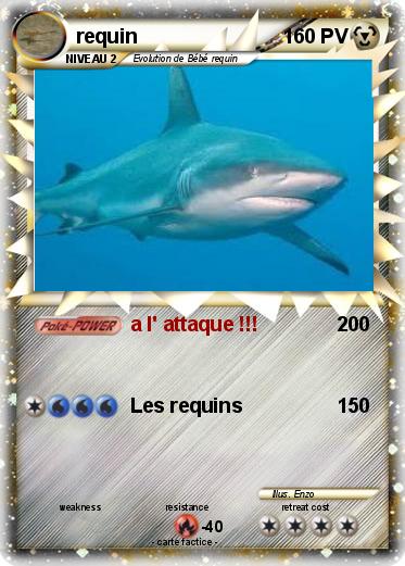 Pokemon requin