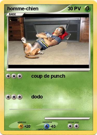 Pokemon homme-chien