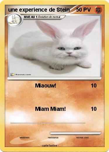 Pokemon une experience de Stein