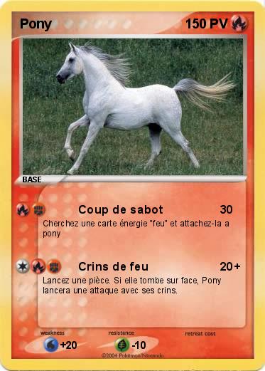 Pokemon Pony