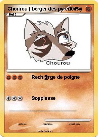 Pokemon Chourou ( berger des pyrénées )
