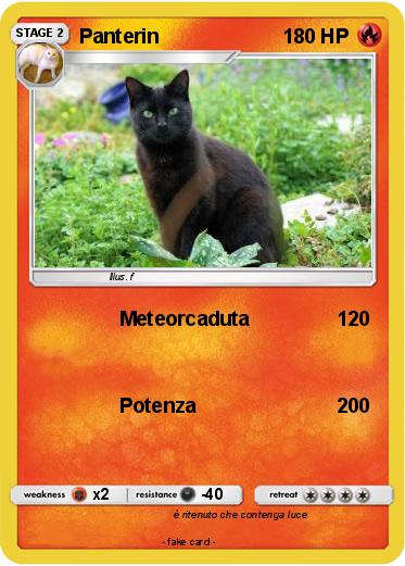 Pokemon Panterin