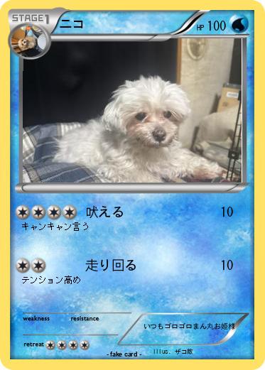 Pokemon ニコ