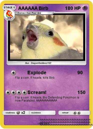 Pokemon AAAAAA Birb