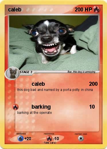 Pokemon caleb