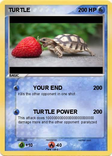 Pokemon TURTLE