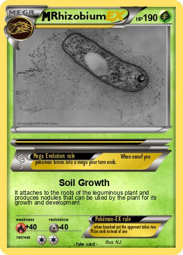 Pokemon Rhizobium