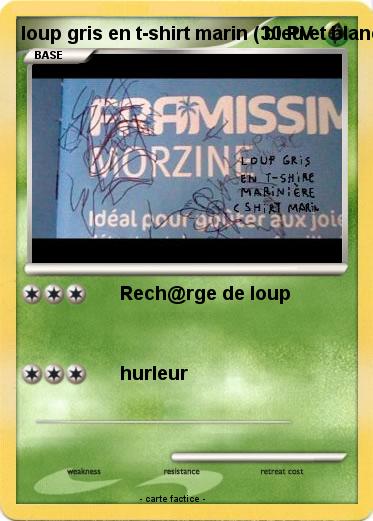 Pokemon loup gris en t-shirt marin ( bleu et blanc )