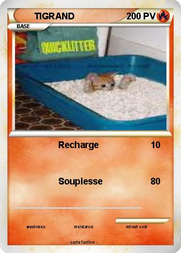 Pokemon TIGRAND