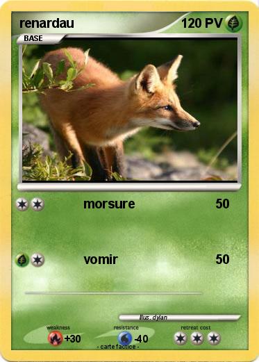 Pokemon renardau