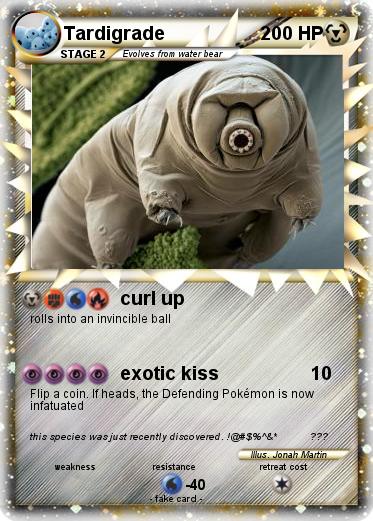 Pokemon Tardigrade