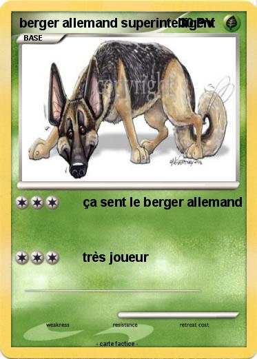 Pokemon berger allemand superintelligent