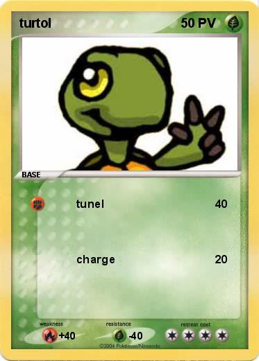 Pokemon turtol