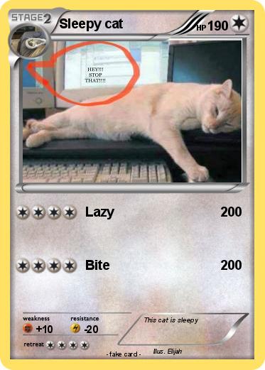 Pokemon Sleepy cat