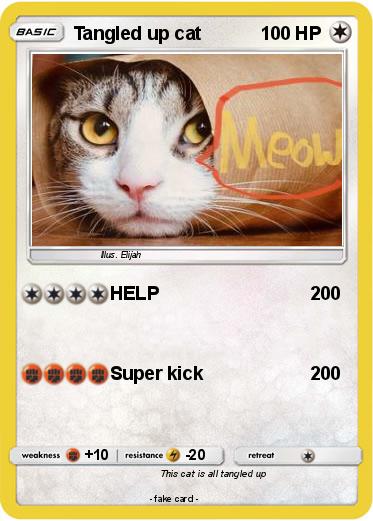 Pokemon Tangled up cat