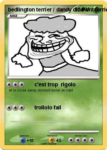 Pokemon bedlington terrier / dandy dinmont terrier