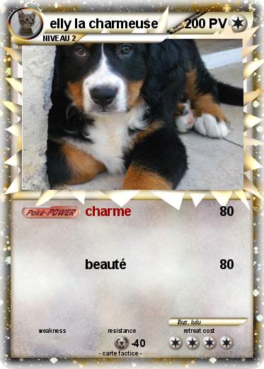 Pokemon elly la charmeuse