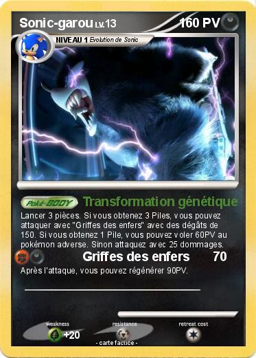 Pokemon Sonic-garou