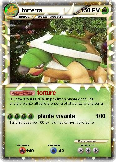 Pokemon torterra