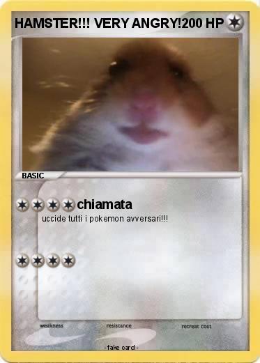 Pokemon HAMSTER!!! VERY ANGRY!