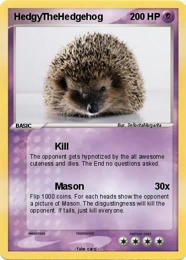Pokemon HedgyTheHedgehog
