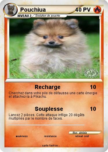Pokemon Pouchiua
