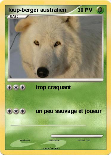 Pokemon loup-berger australien