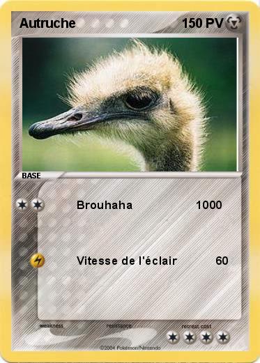 Pokemon Autruche