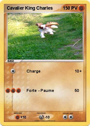 Pokemon Cavalier King Charles