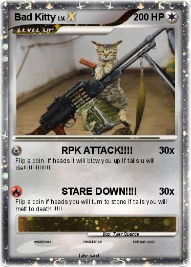 Pokemon Bad Kitty