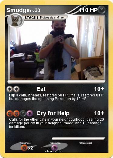 Pokemon Smudge