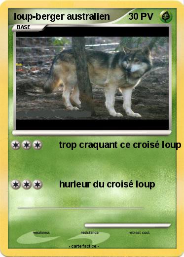 Pokemon loup-berger australien