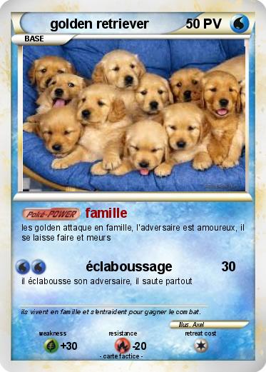 Pokemon golden retriever